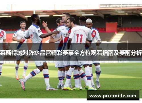 莱斯特城对阵水晶宫精彩赛事全方位观看指南及赛前分析 莱斯特城对阵水晶宫精彩赛事全方位观看指南及赛前分析