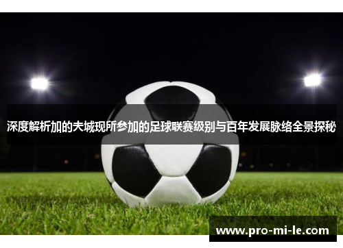 深度解析加的夫城现所参加的足球联赛级别与百年发展脉络全景探秘