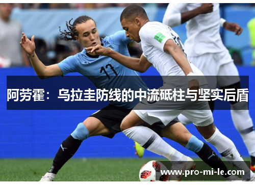 阿劳霍：乌拉圭防线的中流砥柱与坚实后盾