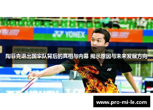 陶菲克退出国家队背后的真相与内幕 揭示原因与未来发展方向