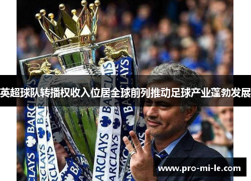 英超球队转播权收入位居全球前列推动足球产业蓬勃发展