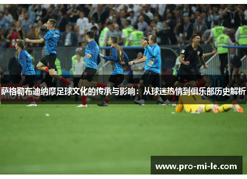 萨格勒布迪纳摩足球文化的传承与影响：从球迷热情到俱乐部历史解析