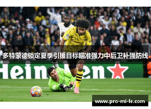 多特蒙德锁定夏季引援目标瞄准强力中后卫补强防线
